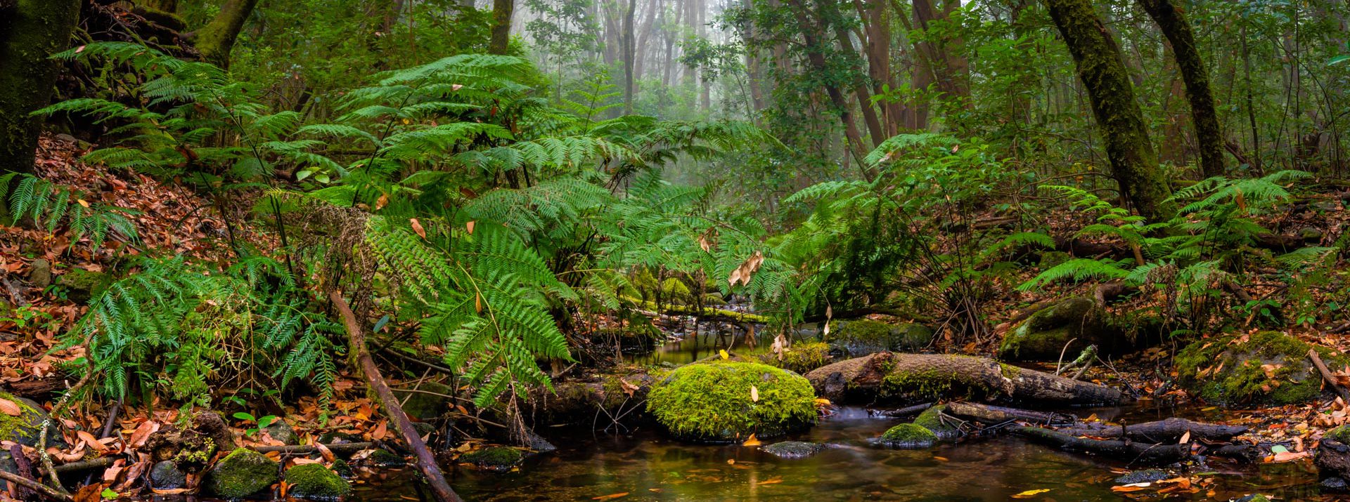 La Gomera, paraíso de caminantes